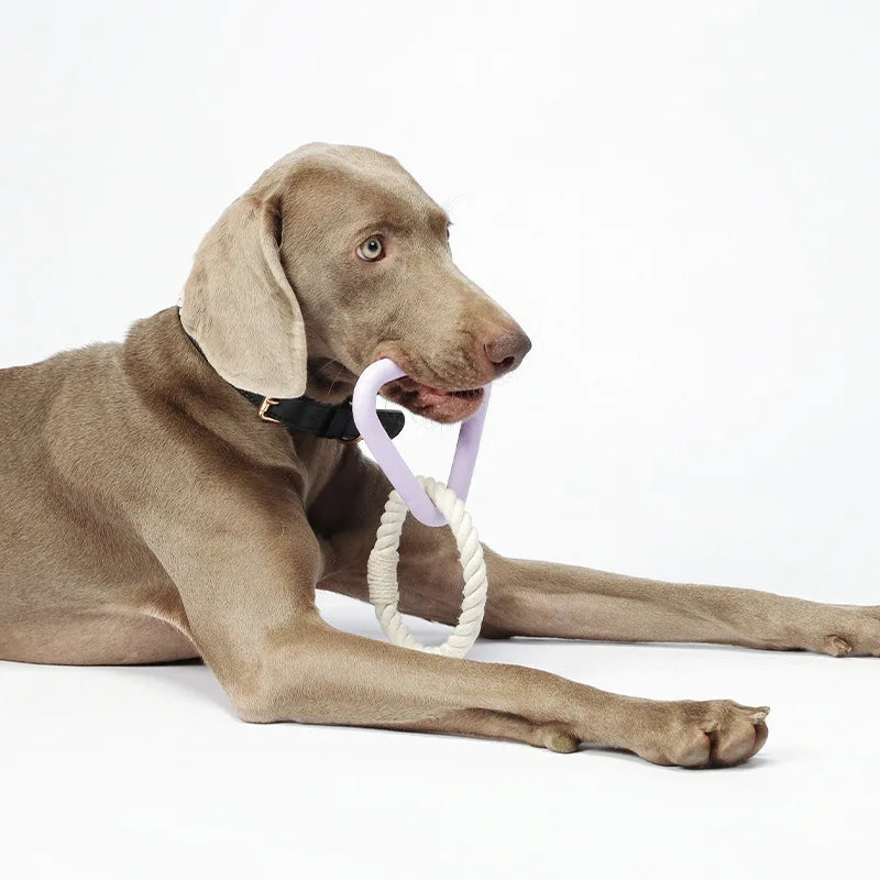 Multi-Color Eco Friendly Super Chewer Rope Tug Toy